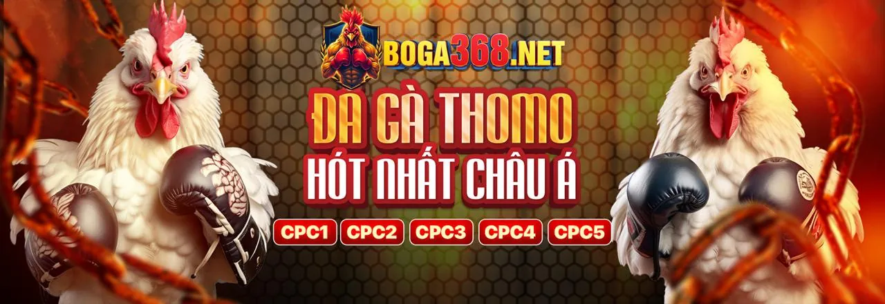 Hình ảnh đăng ký tài khoản đá gà trực tiếp an toàn và nhanh chóng