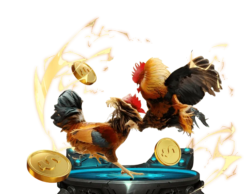 Thời gian và xử lý lỗi rút tiền đá gà trực tiếp